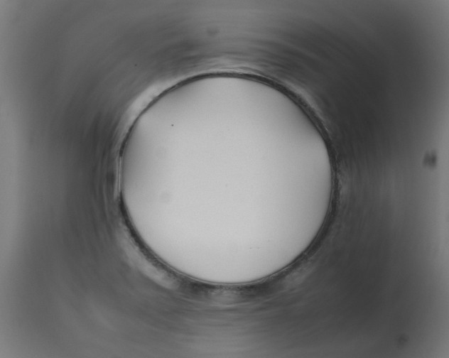 X0000113211371200910081306