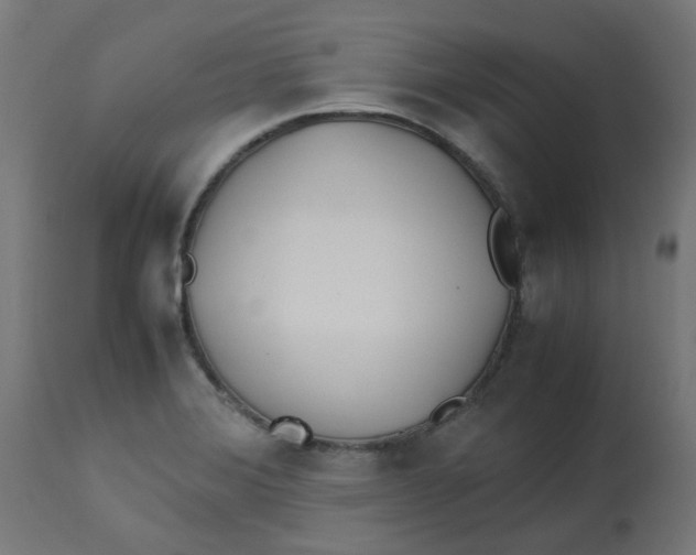 X0000113211372200910081306