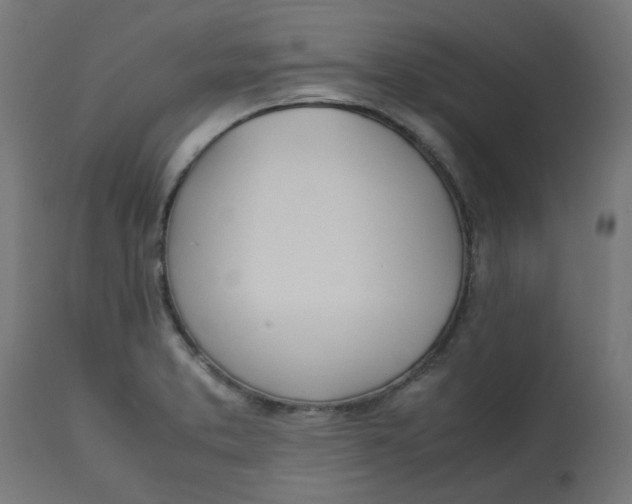 X0000113211373200910081306