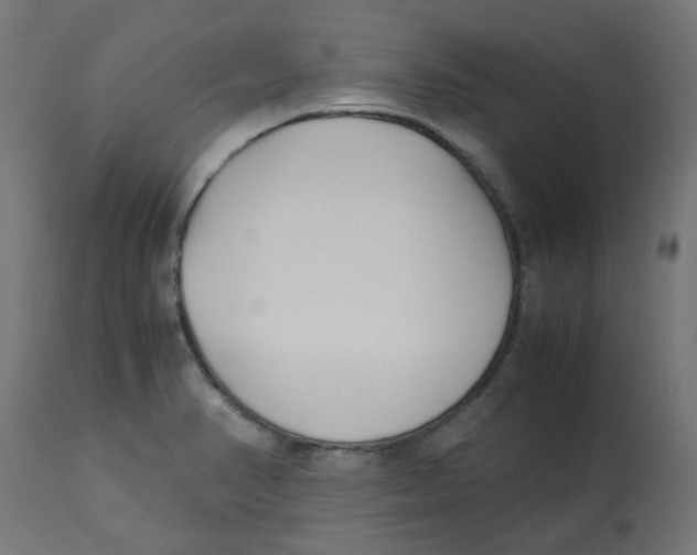 X0000113211374200910081306