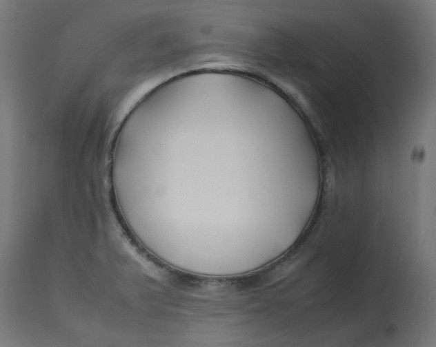 X0000113211375200910081306