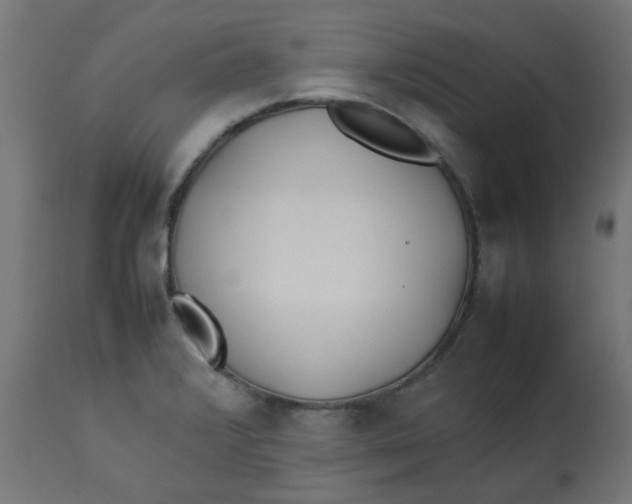 X0000113211376200910081306