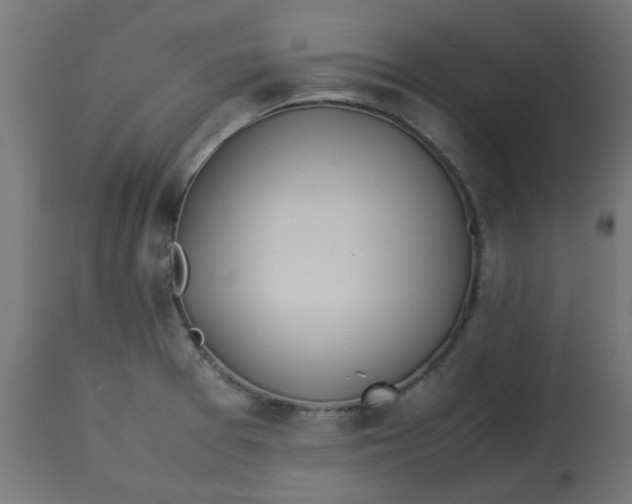 X0000113211377200910081306