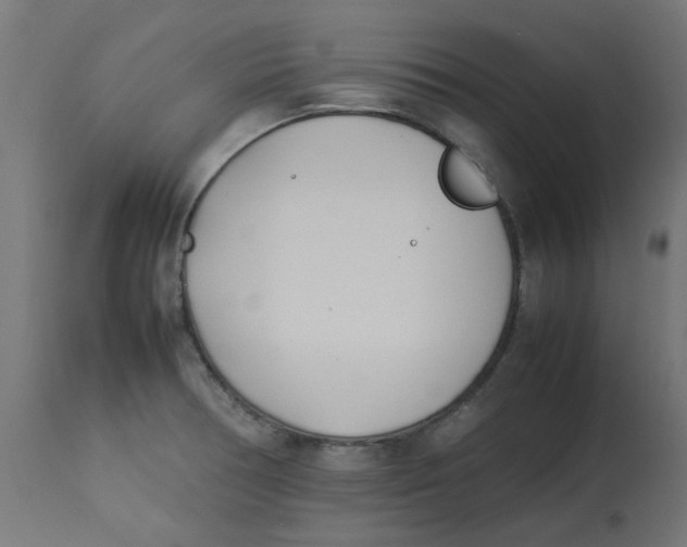 X0000113211378200910081306