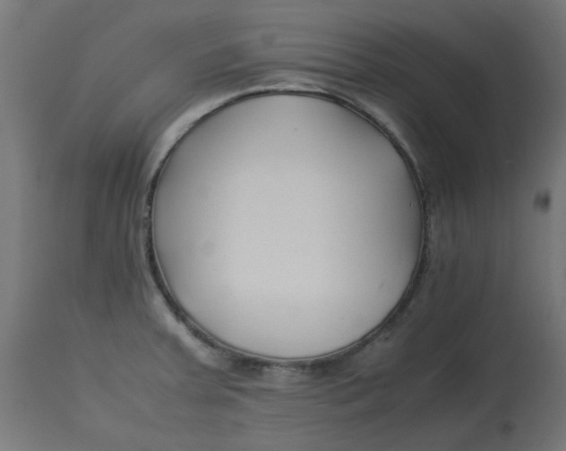 X0000113211379200910081306