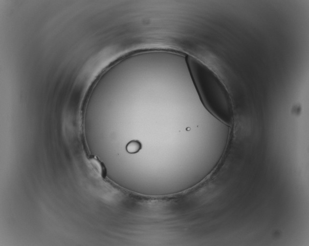 X0000113211380200910081306