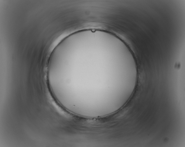 X0000113211383200910081306