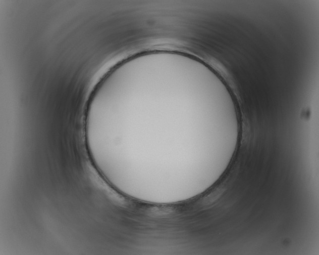 X0000113211384200910081306