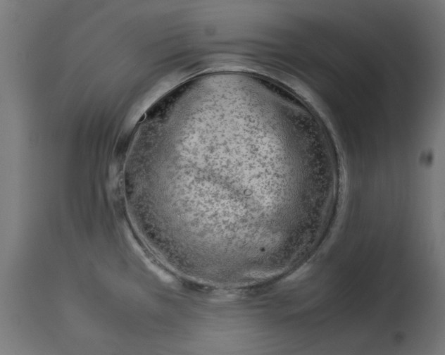 X0000113211385200910081305