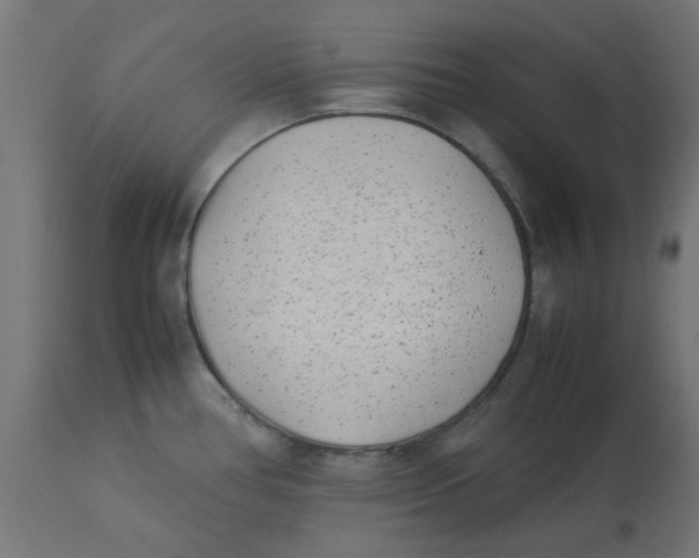 X0000113211386200910081305