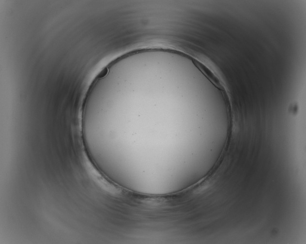 X0000113211388200910081305