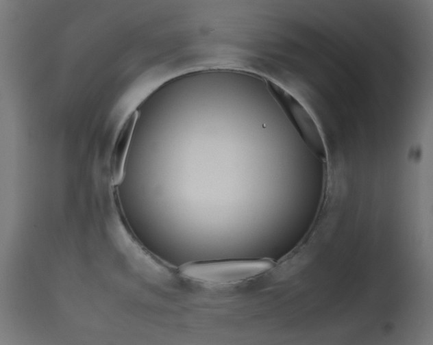 X0000113211389200910081305