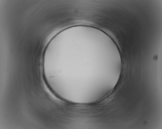 X0000113211391200910081305