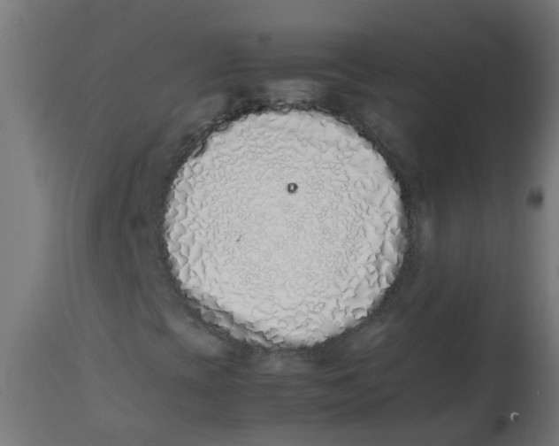 X0000113211393200910081305