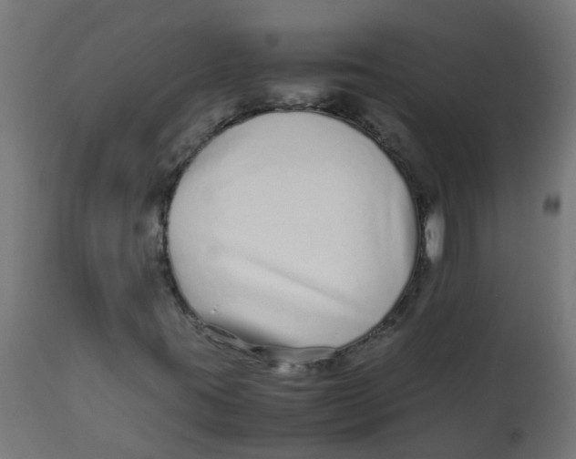 X0000113211395200910081305