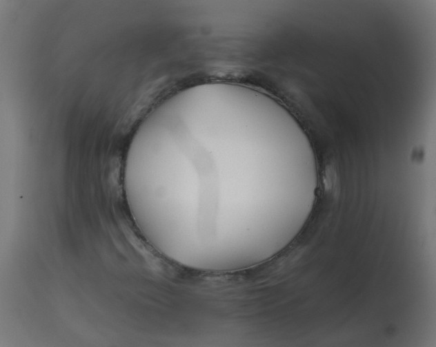 X0000113211396200910081305