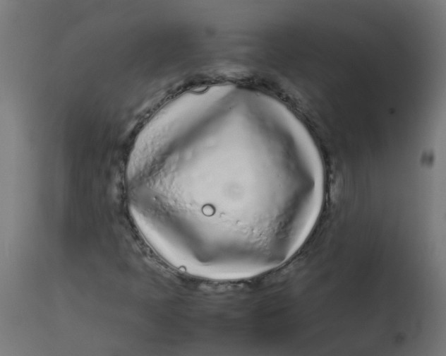 X0000113211397200910081305