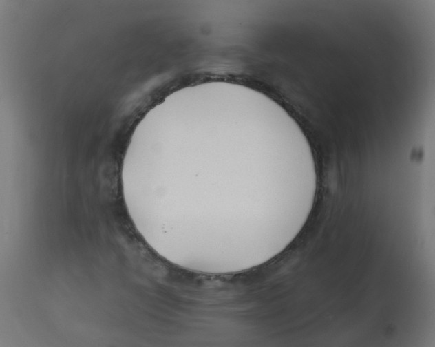 X0000113211398200910081305