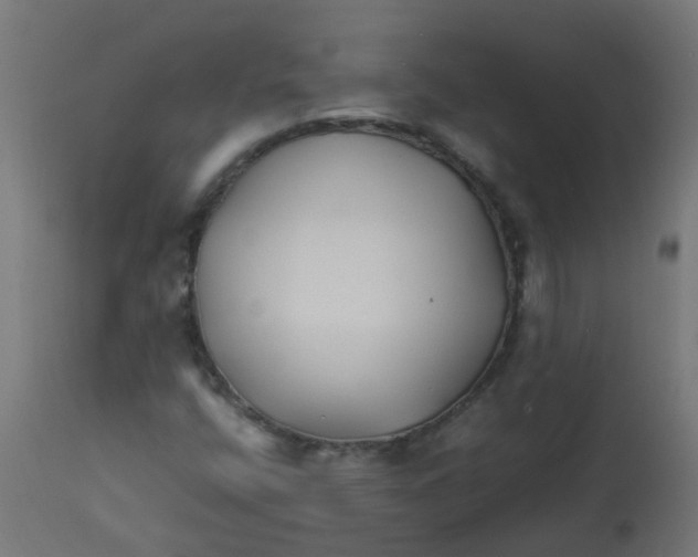 X0000113211400200910081305