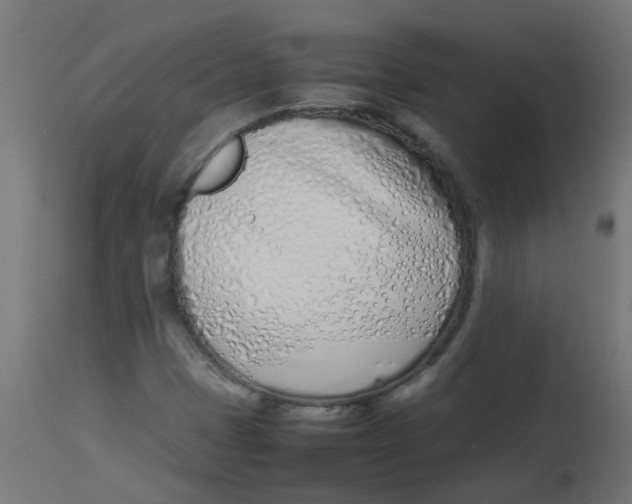 X0000113211401200910081305