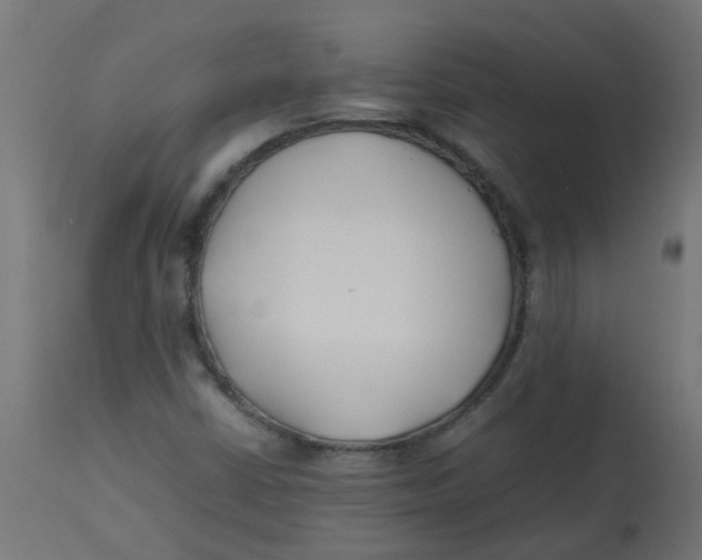 X0000113211402200910081305