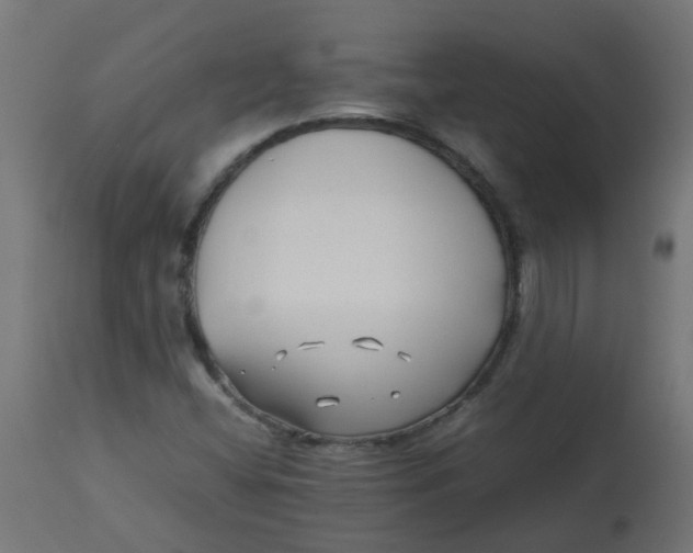 X0000113211404200910081305