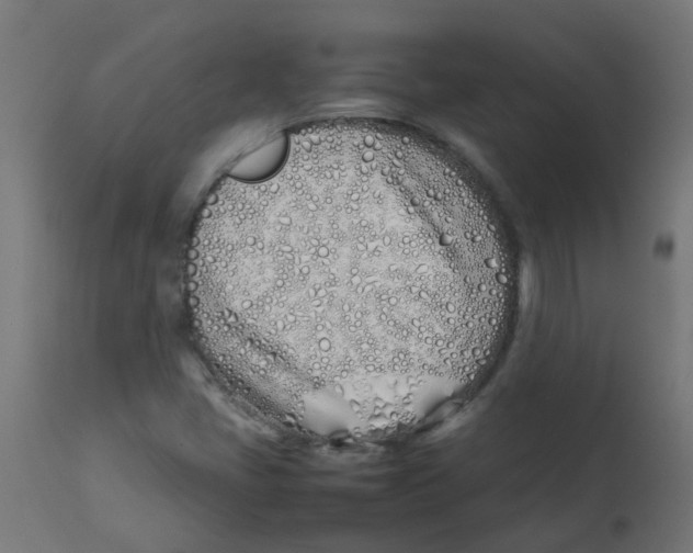 X0000113211405200910081305