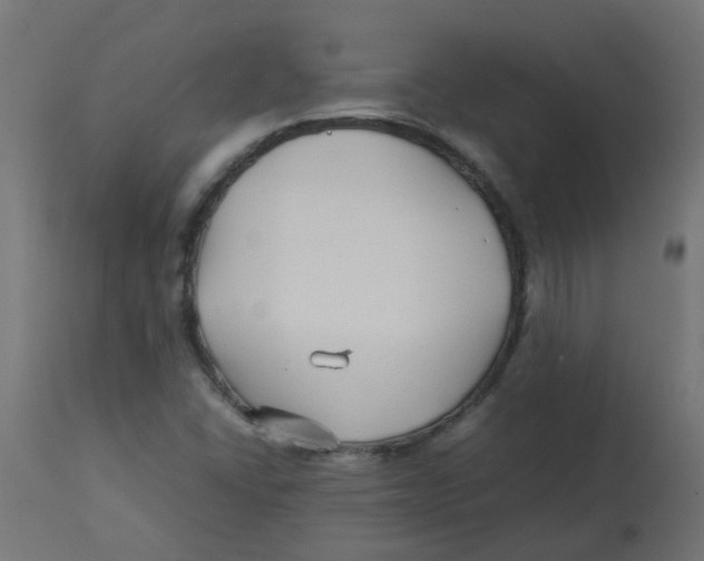 X0000113211406200910081305