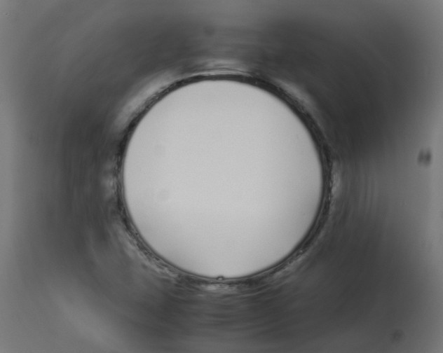 X0000113211407200910081305