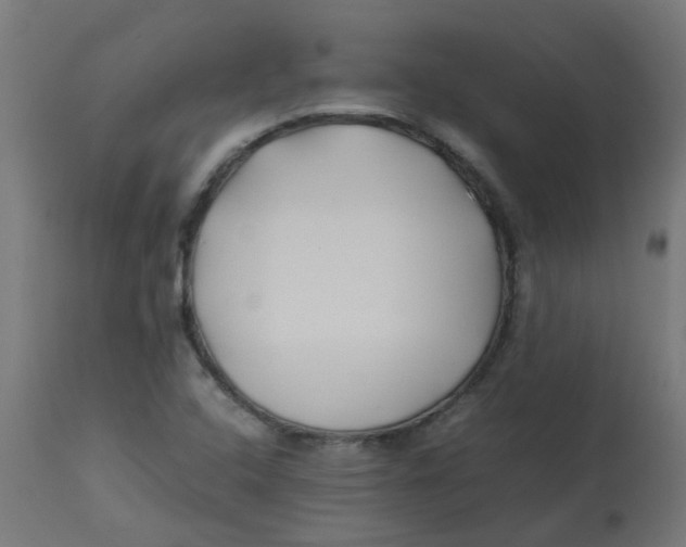 X0000113211408200910081305