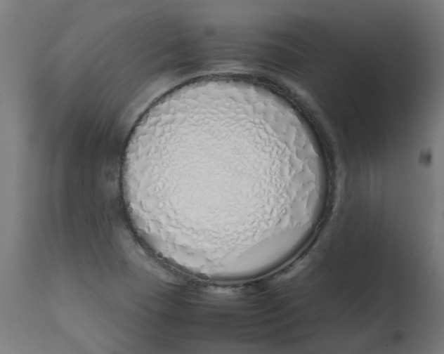 X0000113211409200910081305