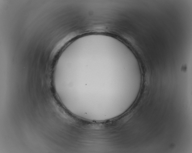 X0000113211410200910081305