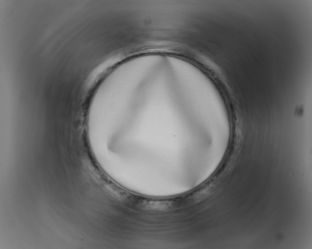 X0000113211411200910081305