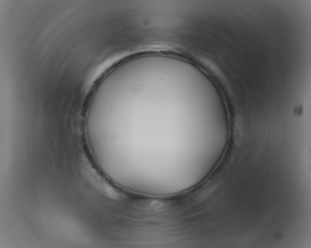 X0000113211412200910081305