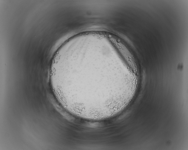 X0000113211413200910081305