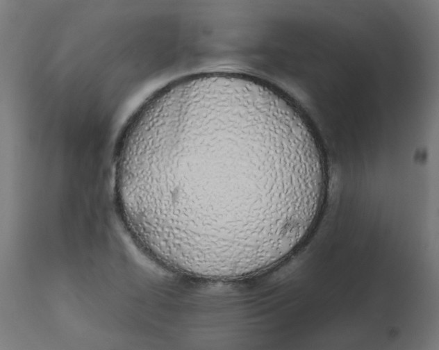 X0000113211414200910081305