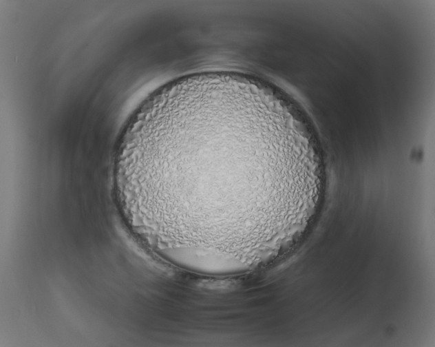 X0000113211415200910081305