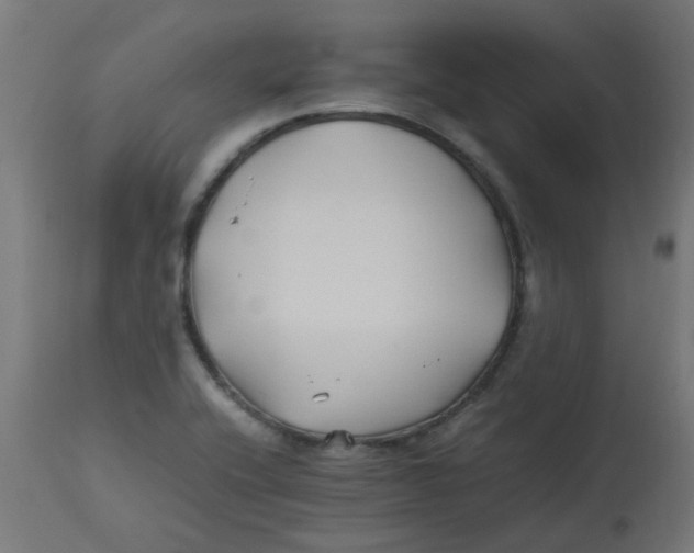 X0000113211416200910081305