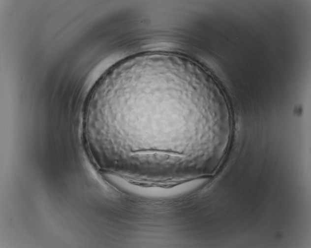 X0000113211418200910081305