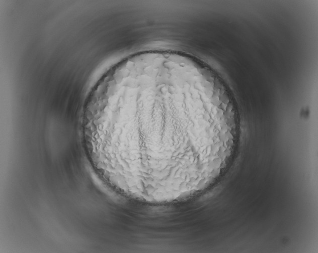 X0000113211421200910081305