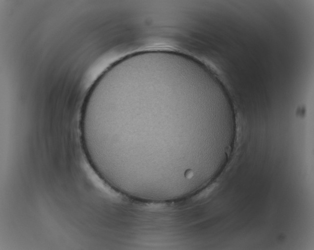 X0000113211422200910081305