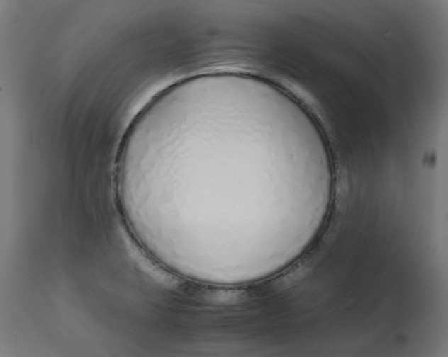 X0000113211423200910081305