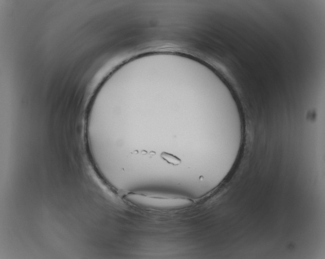 X0000113211424200910081305