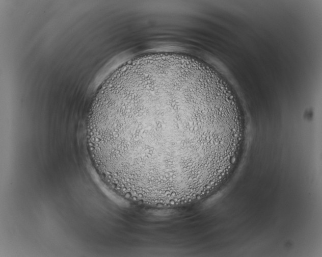 X0000113211425200910081305