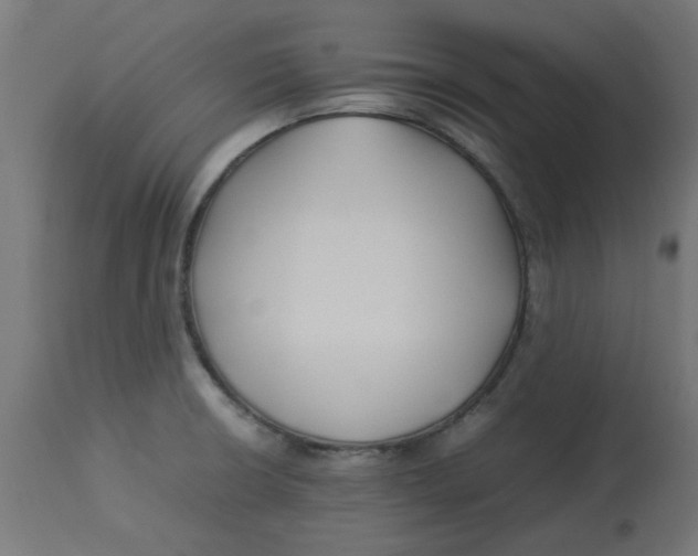 X0000113211426200910081305