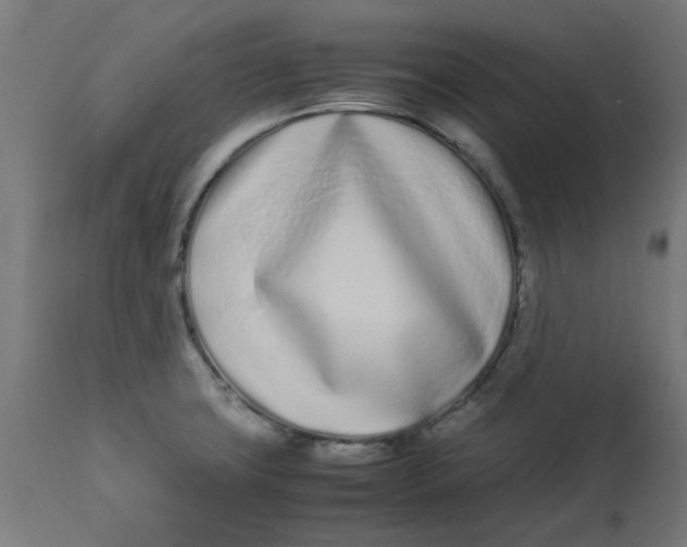 X0000113211427200910081305