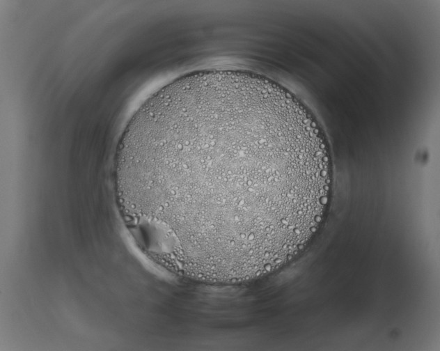 X0000113211429200910081305