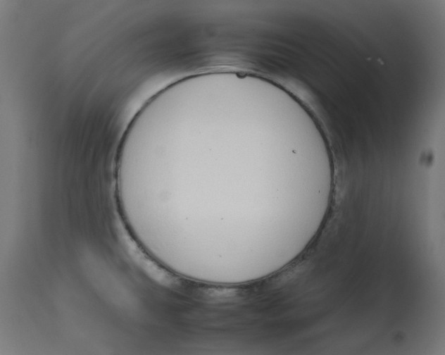 X0000113211431200910081305