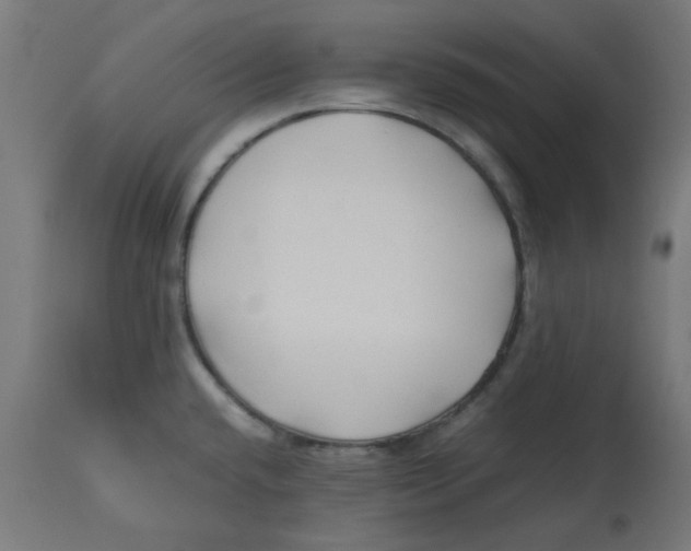 X0000113211432200910081305