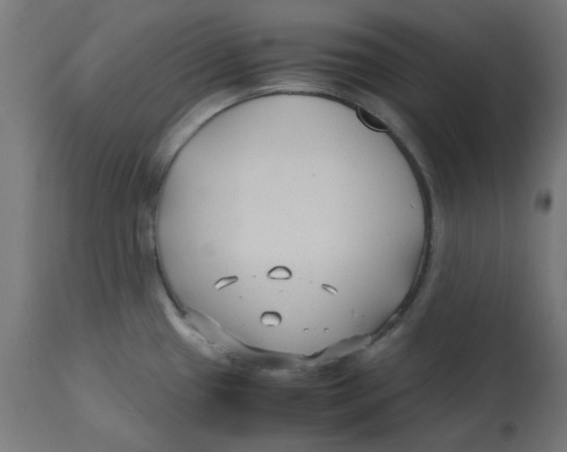 X0000113211433200910081305